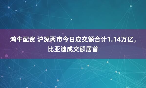 鸿牛配资 沪深两市今日成交额合计1.14万亿，比亚迪成交额居首