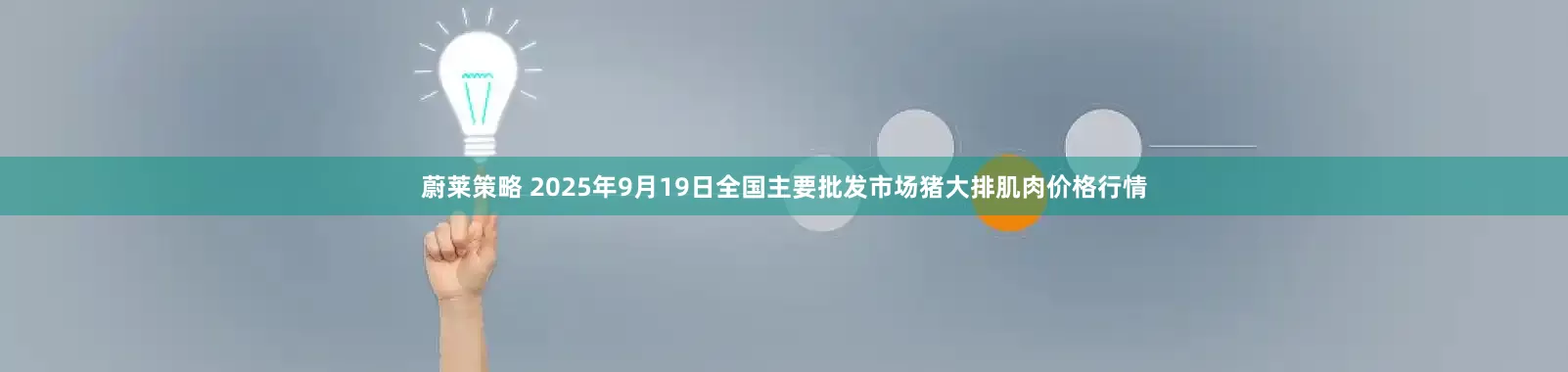 蔚莱策略 2025年9月19日全国主要批发市场猪大排肌肉价格行情
